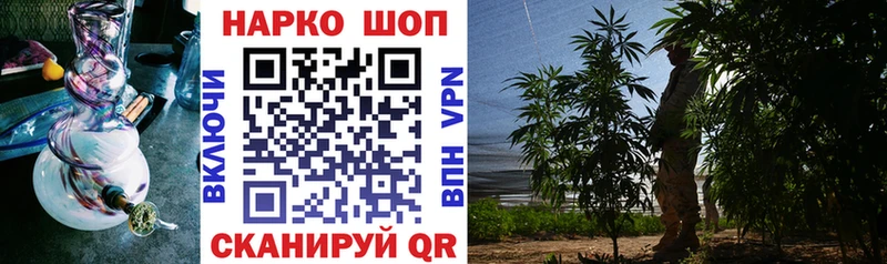 Купить Cocaine  Меф  NBOMe  Конопля  АМФ  Алексеевка