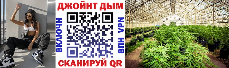 Купить  Алексеевка  Каннабис THC 21% 